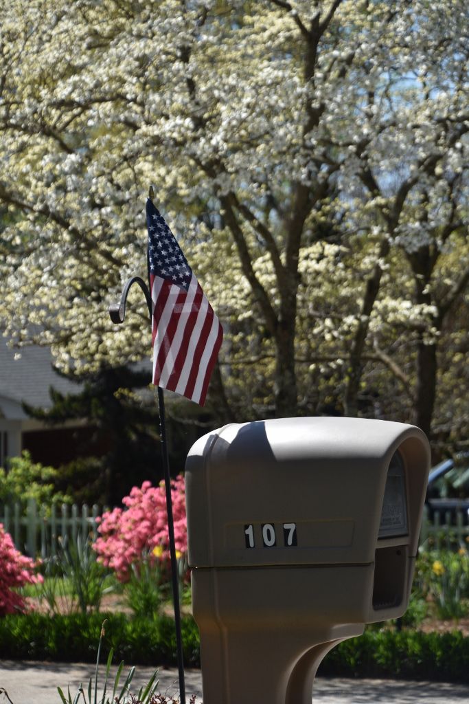 4-4-20 flowers 090 (683x1024).jpg